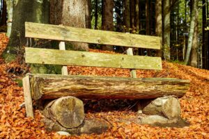 Traumhaft entspannen im Schwarzwald: Die besten Wellness-Tipps