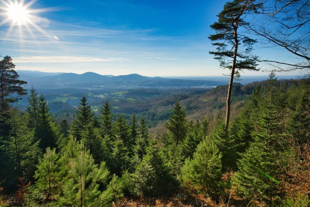 Urlaub im Schwarzwald