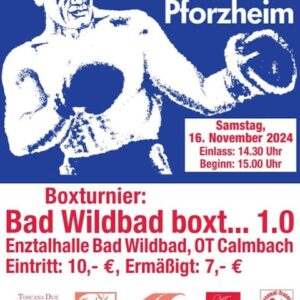 Bad Wildbad boxt... 1.0