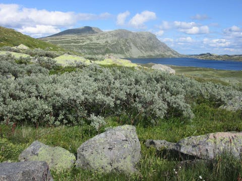 Norwegischer Märchenabend