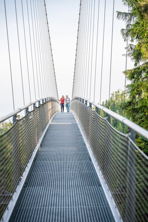 Entdecke die Wilde Seite von Bad Wildbad