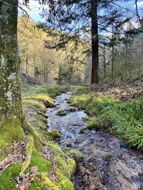 Geführte Wanderung: "Hike and Retreat" in Bad Wildbad